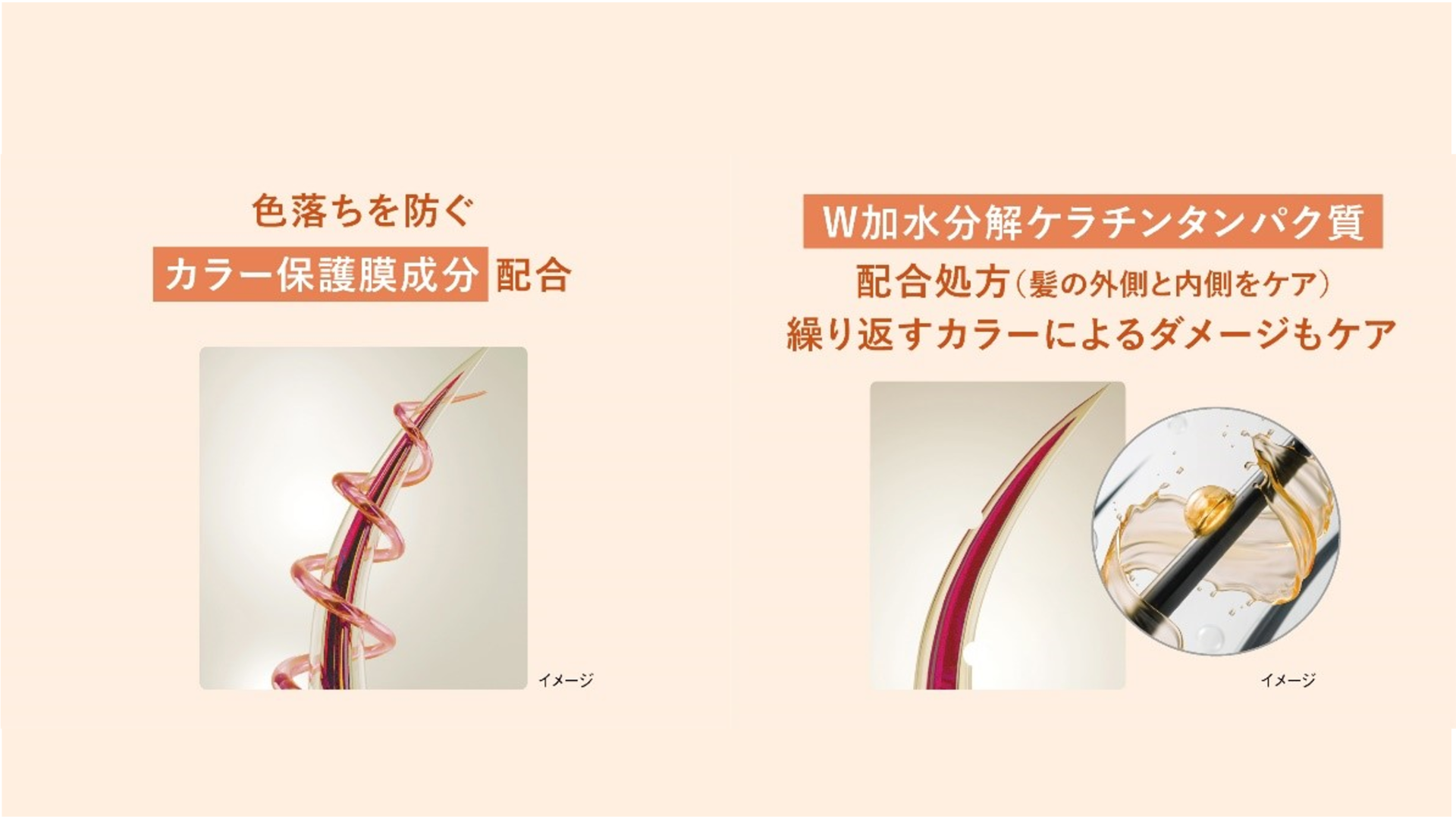 Nexxuss color protect