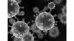 新型コロナウィルスの画像