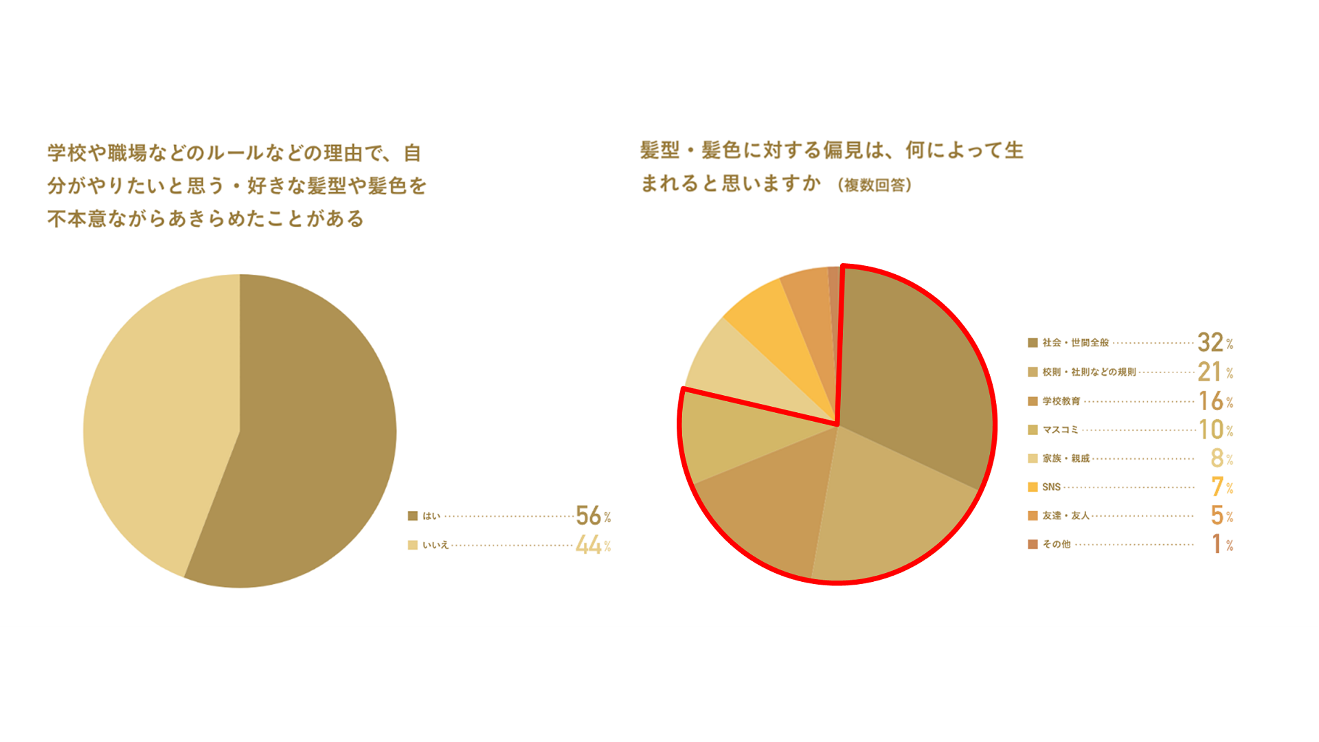 ２つの円グラフ、髪に対する偏見