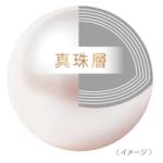 真珠層