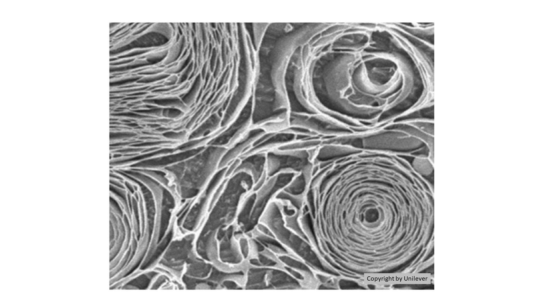 コンディショナー・トリートメントの製法、電子顕微鏡画像